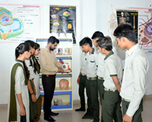 img1
